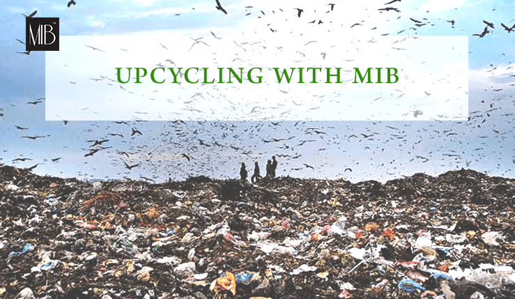 upcycling with MIB